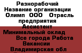 Разнорабочий › Название организации ­ Олимп, ООО › Отрасль предприятия ­ Ассистент › Минимальный оклад ­ 25 000 - Все города Работа » Вакансии   . Владимирская обл.,Вязниковский р-н